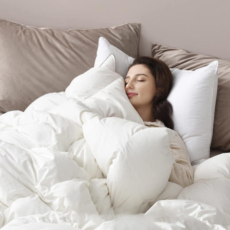 Alwyn Home All Season Goose Down Comforter & Reviews Wayfair